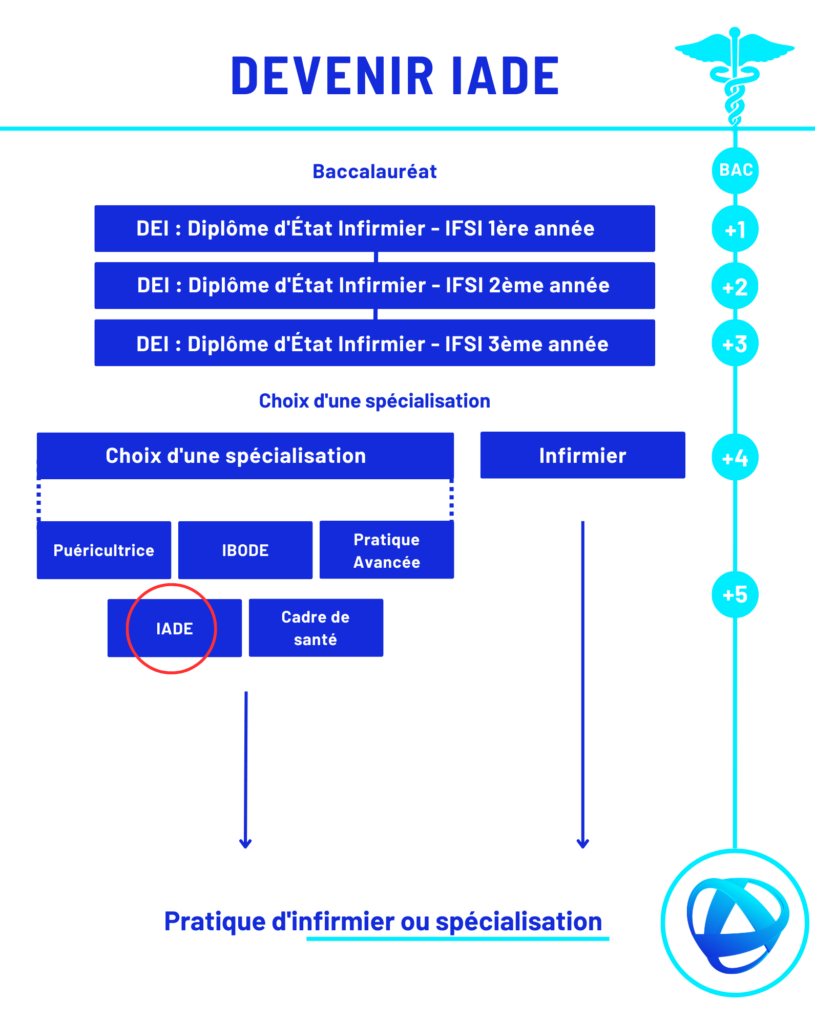 Infographie sur la formation à suivre pour devenir IADE par Med & Jobs