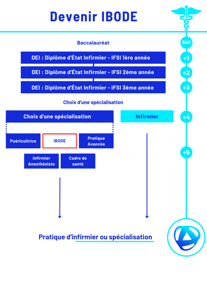 Infographie sur les études pour devenir IBODE