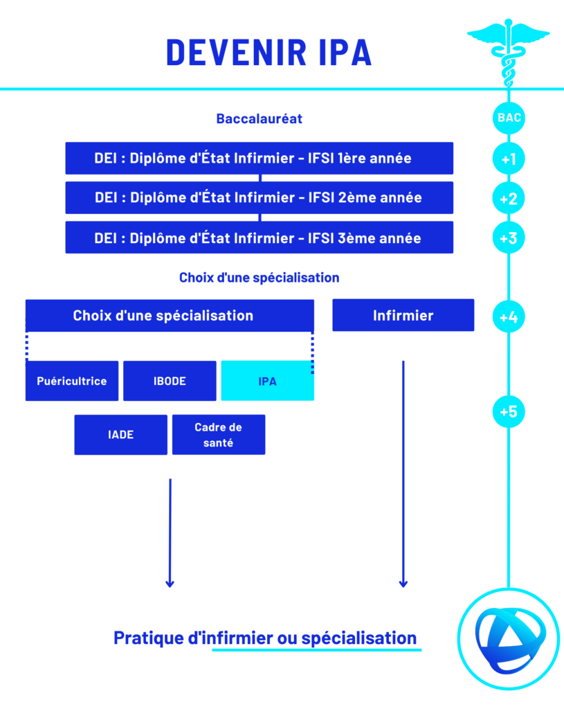 Infographie sur la formation pour devenir IPA